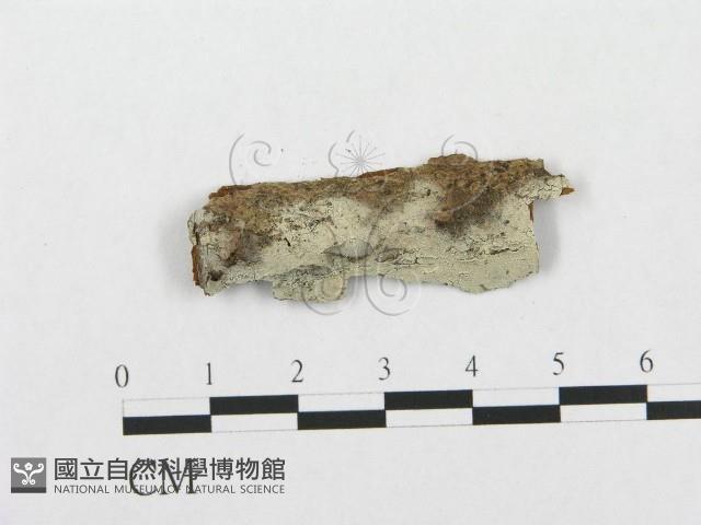 登錄號:F0016735藏品圖，第1張