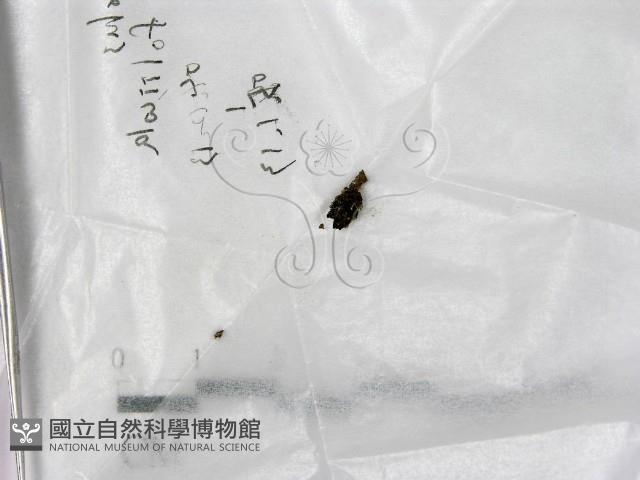 登錄號:F0017735藏品圖，第1張