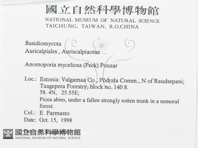 登錄號:F0015735藏品圖，第3張