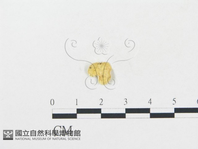 登錄號:F0009735藏品圖，第1張