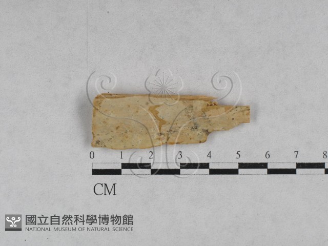 登錄號:F0028535藏品圖，第1張