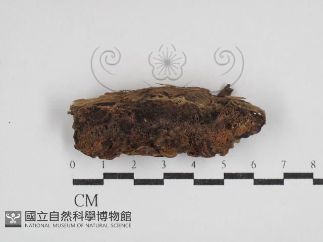 登錄號:F0030535藏品圖，第1張