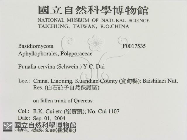 登錄號:F0017535藏品圖，第3張