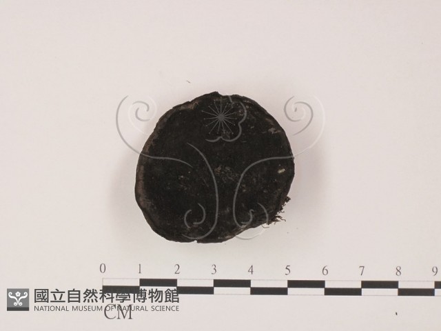 登錄號:F0015535藏品圖，第1張