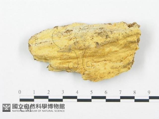 登錄號:F0014135藏品圖，第1張