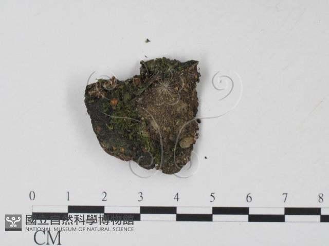 Accession Number:F0002135 Collection Image, Figure 1, Total 3 Figures