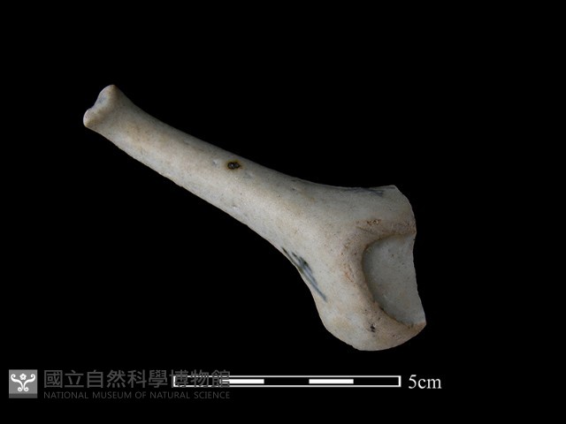湯匙藏品圖，第2張