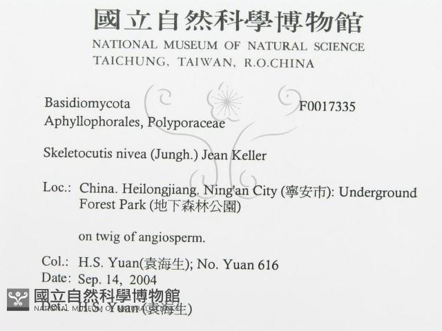 登錄號:F0017335藏品圖，第3張