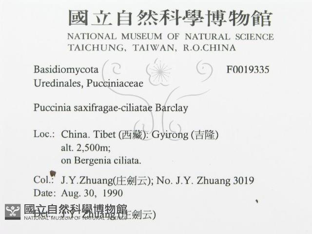 登錄號:F0019335藏品圖，第3張