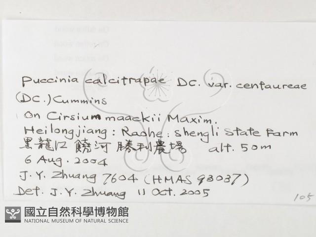 登錄號:F0026275藏品圖，第3張