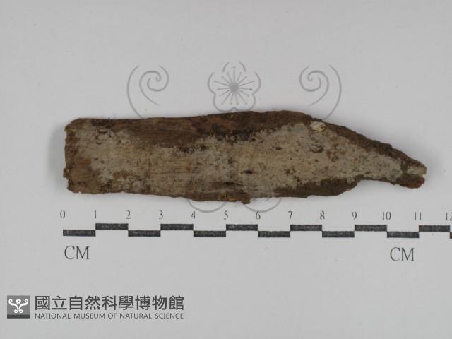 登錄號:F0031275藏品圖，第1張