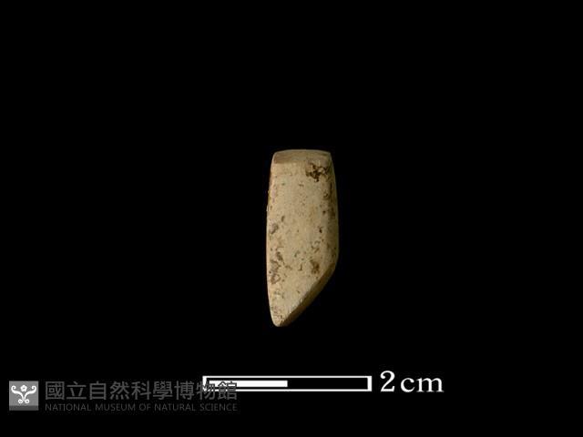 錛鑿形器藏品圖，第2張