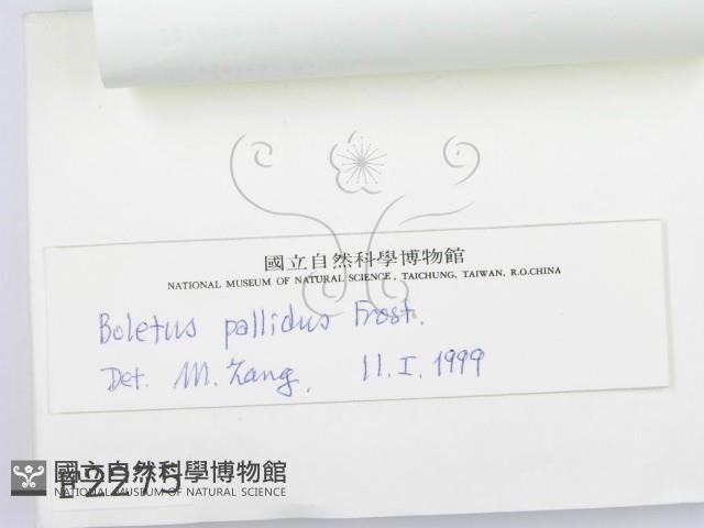 登錄號:F0002275藏品圖，第3張