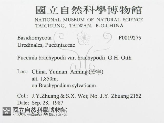 登錄號:F0019275藏品圖，第3張