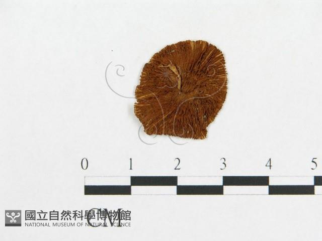 登錄號:F0003275藏品圖，第1張