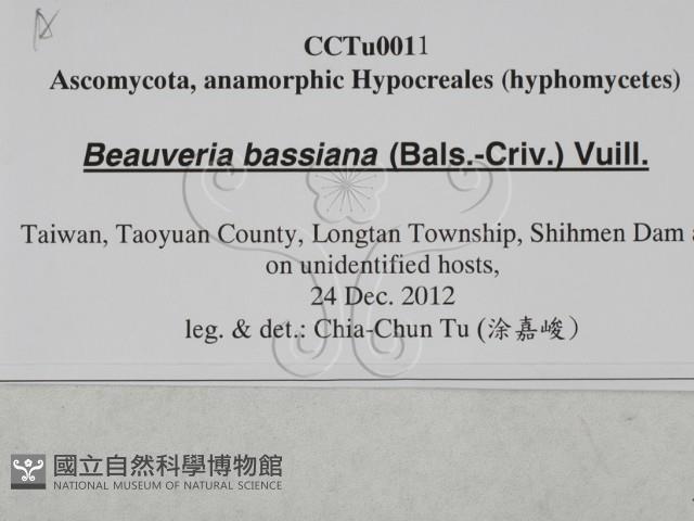 登錄號:F0027875藏品圖，第3張