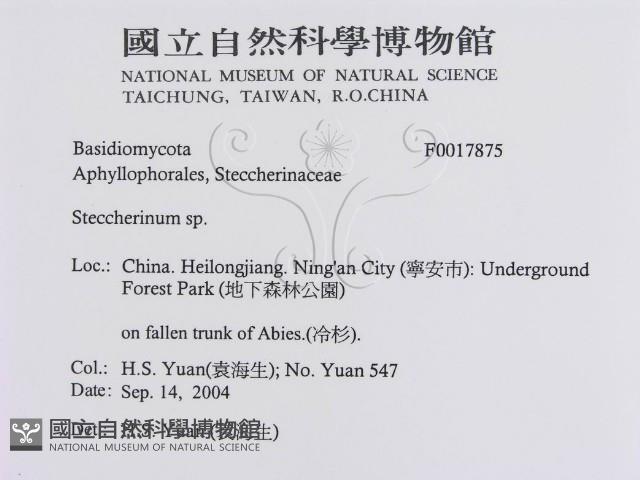 登錄號:F0017875藏品圖，第3張