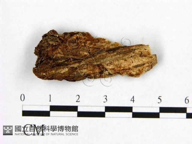 登錄號:F0019875藏品圖，第1張