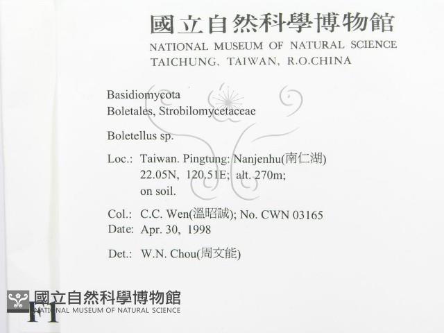 登錄號:F0010975藏品圖，第3張