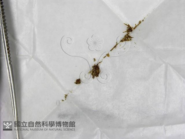 登錄號:F0000675藏品圖，第1張