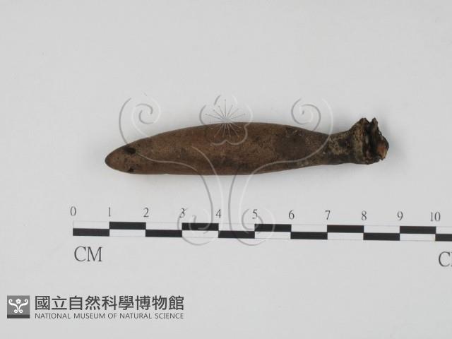 登錄號:F0005675藏品圖，第1張