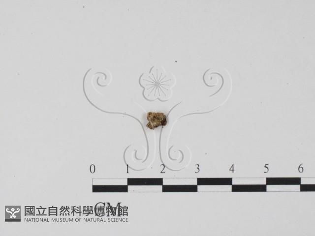 登錄號:F0019675藏品圖，第1張