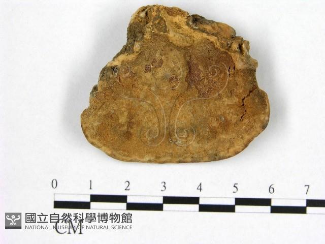 登錄號:F0016475藏品圖，第1張