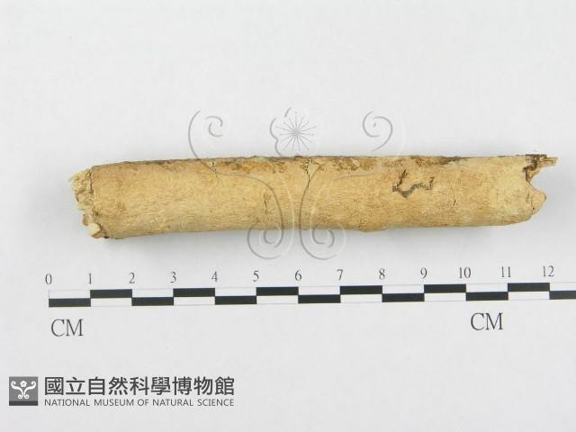 登錄號:F0002475藏品圖，第1張