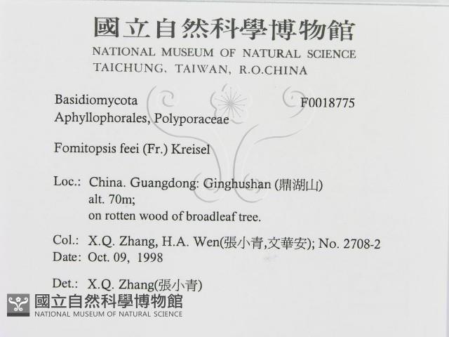 登錄號:F0018775藏品圖，第3張