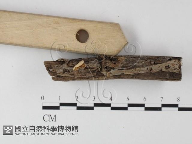 登錄號:F0010775藏品圖，第1張