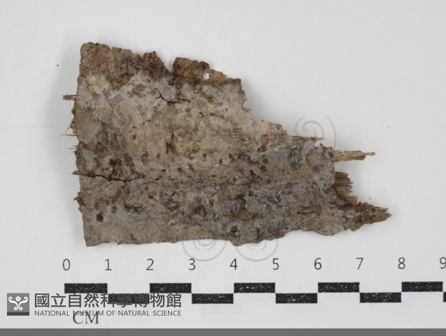 登錄號:F0034775藏品圖，第1張