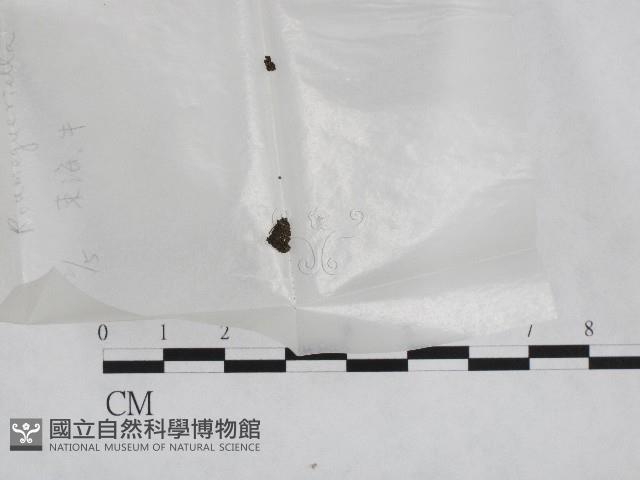 登錄號:F0002775藏品圖，第1張