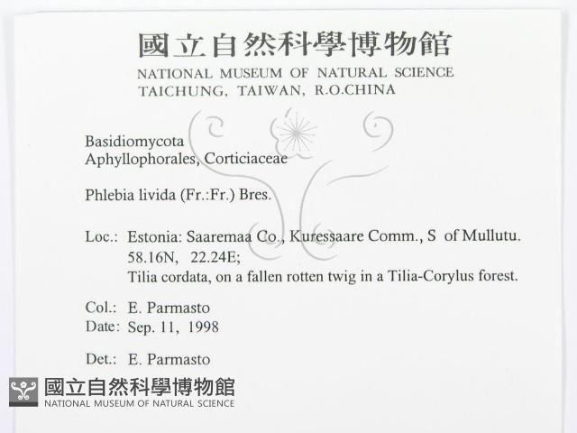 登錄號:F0015775藏品圖，第3張