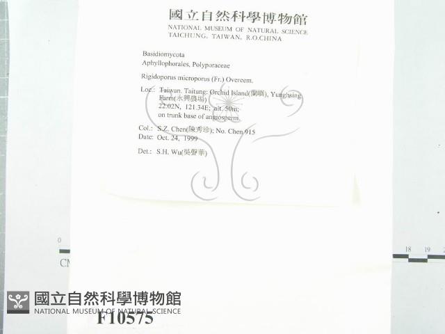 登錄號:F0010575藏品圖，第3張