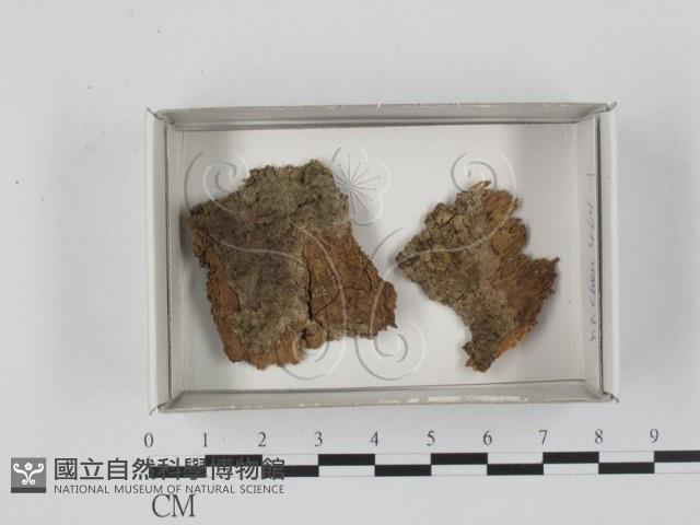 登錄號:F0018175藏品圖，第1張