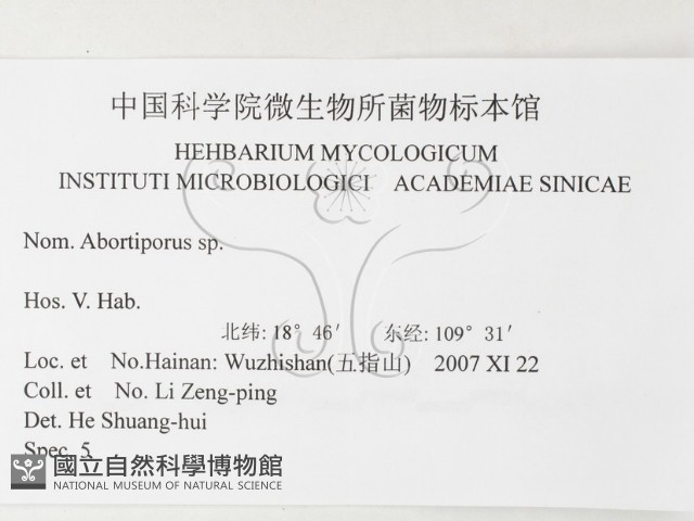 殘孔菌屬藏品圖，第3張
