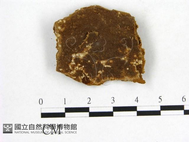 登錄號:F0006175藏品圖，第1張