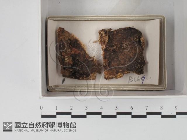 登錄號:F0018075藏品圖，第1張