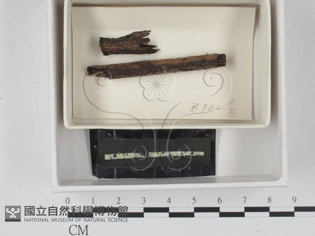 登錄號:F0021075藏品圖，第1張