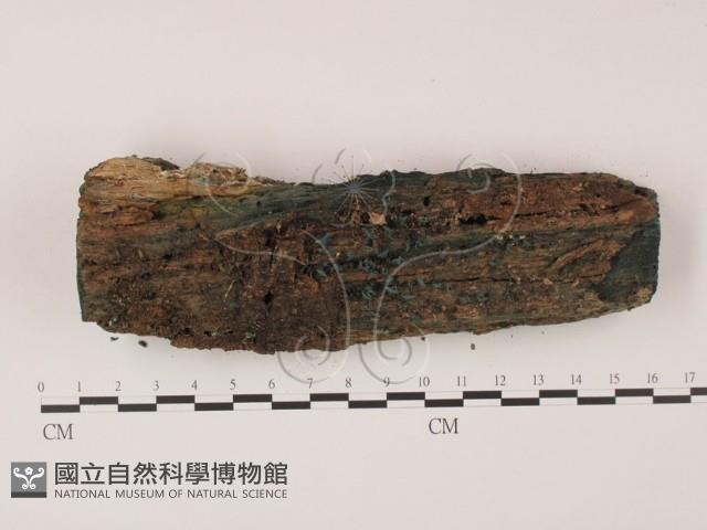 登錄號:F0004075藏品圖，第1張