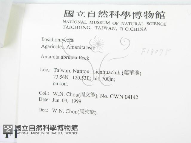 登錄號:F0013075藏品圖，第3張