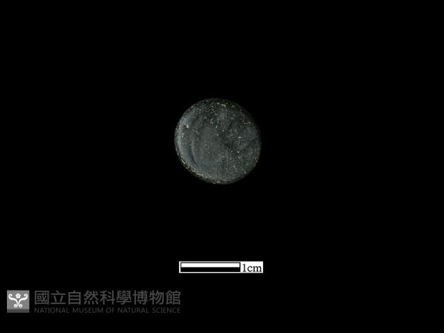 圍棋子藏品圖，第2張