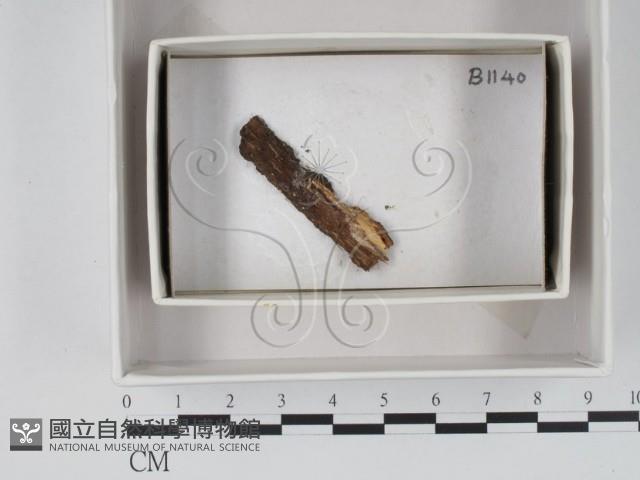 登錄號:F0018375藏品圖，第1張