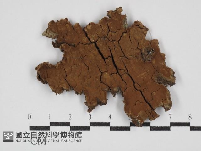 登錄號:F0030375藏品圖，第1張