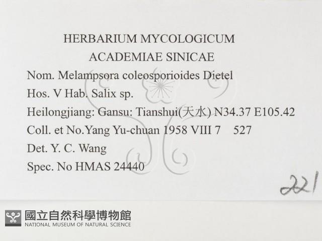 登錄號:F0026375藏品圖，第3張