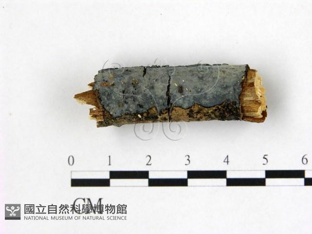 登錄號:F0022375藏品圖，第1張