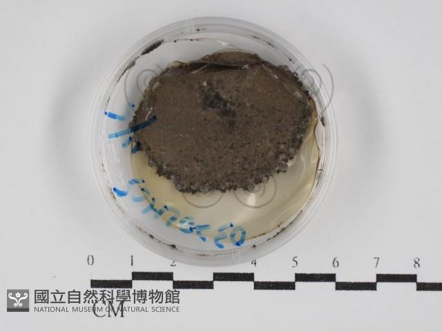 登錄號:F0030269藏品圖，第1張