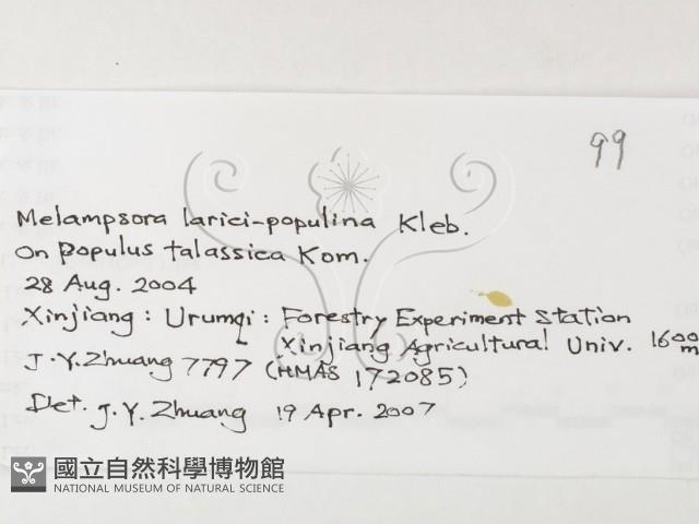 登錄號:F0026269藏品圖，第3張