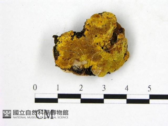 登錄號:F0006269藏品圖，第1張