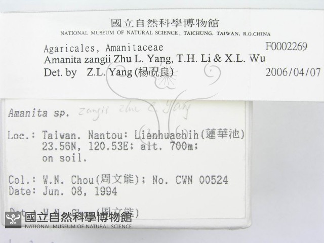 登錄號:F0002269藏品圖，第3張